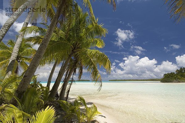 Blaue Lagune  Rangiroa  Tuamotu-Archipel  Französisch-Polynesien  Pazifische Inseln  Pazifik
