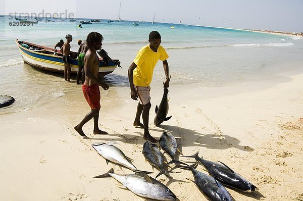 Strand fangen bringen Insel Afrika Atlantischer Ozean Atlantik Fischer Speisesalz Salz