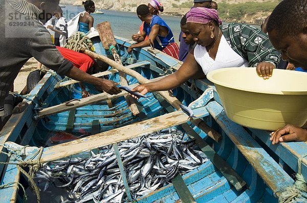 Frischer Fisch nur gefangen  Tarrafal  Santiago  Kapverdische Inseln  Afrika