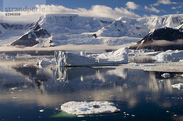 Eisberg  klein  Fokus auf den Vordergrund  Fokus auf dem Vordergrund  Antarktis  Robbe