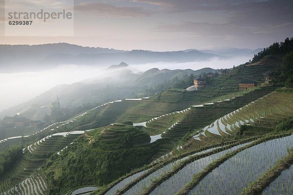 Sunrise  Longsheng terrassierte Reisfeldern  Provinz Guangxi  China  Asien