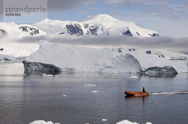 Neko Harbor  Gerlache Strait  Antarktische Halbinsel  Antarktis  Polarregionen