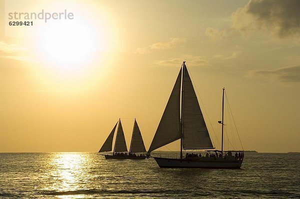 Segelboote bei Sonnenuntergang  Key West  Florida  Vereinigte Staaten von Amerika  Nordamerika