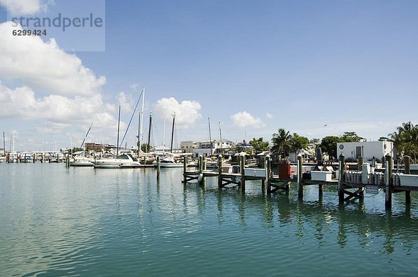 Vereinigte Staaten von Amerika  USA  Jachthafen  Nordamerika  Key West  Florida