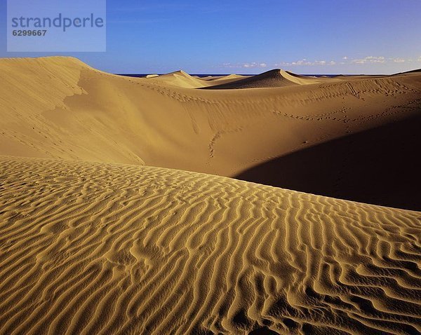 Europa  Kanaren  Kanarische Inseln  Gran Canaria  Maspalomas  Spanien