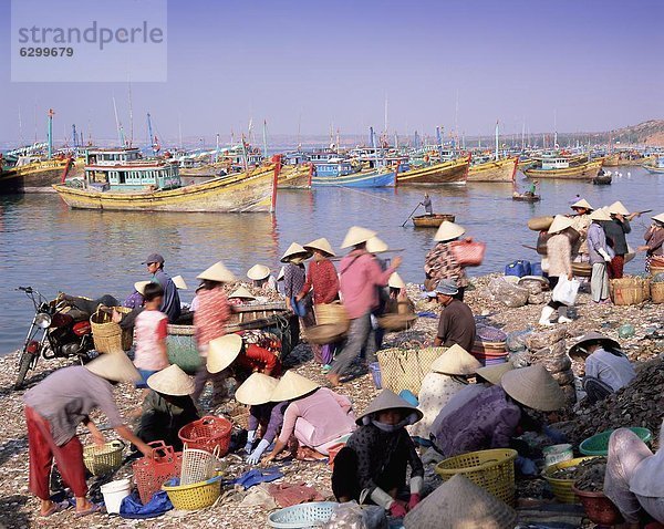 Mensch  Menschen  fangen  Morgen  Boot  Dorf  sammeln  angeln  Südostasien  schnell reagieren  Vietnam  Asien  Mui Ne