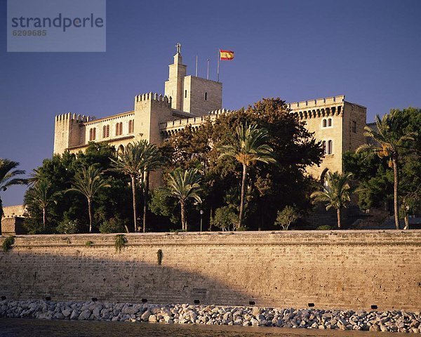 zwischen inmitten mitten Europa Baum Palast Schloß Schlösser Palma de Mallorca Balearen Balearische Inseln Spanien