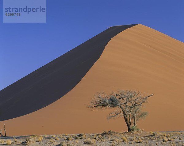 Namibia  Namib Naukluft Nationalpark  Sesriem-Canyon  Afrika