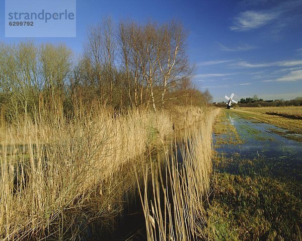 Großbritannien  Cambridgeshire  England