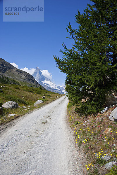 Schotterstraße mit Matterhorn  hinten  Schweiz  Europa