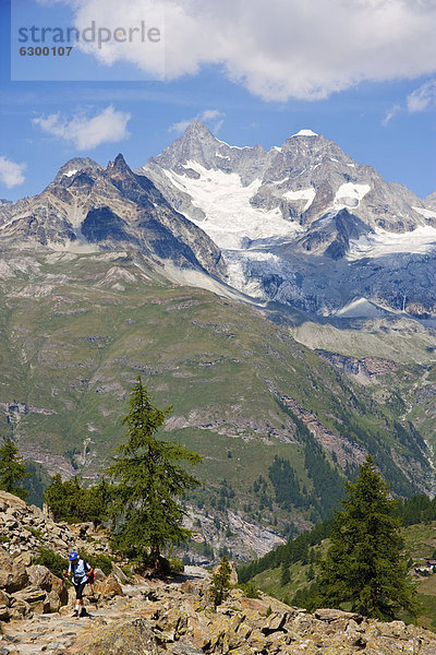 Alpen rund um das Matterhorn  Schweiz  Europa