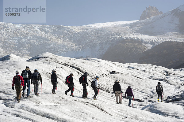 Touristengruppe  Wanderung  Gletscherzunge SvÌnafellsjökull  Skaftafell Nationalpark  Austurland  Ostisland  Island  Europa