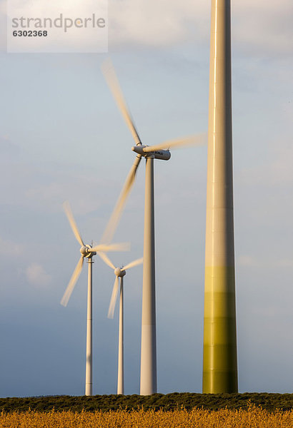 Windturbine Windrad Windräder Europa Windpark Deutschland Nordrhein-Westfalen