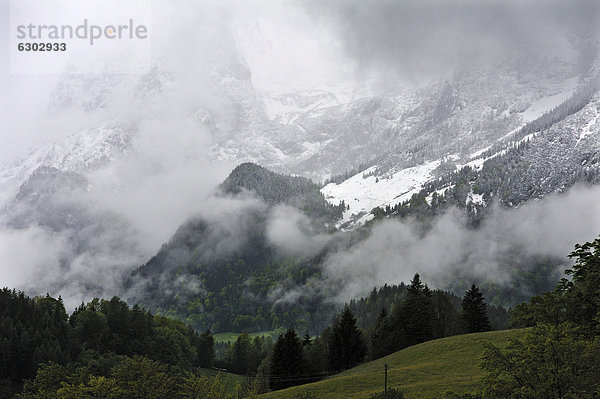 Neuschnee auf der verhangenen Reiteralpe an einem bewölkten Morgen  Ramsau  Berchtesgadener Land  Oberbayern  Deutschland  Europa