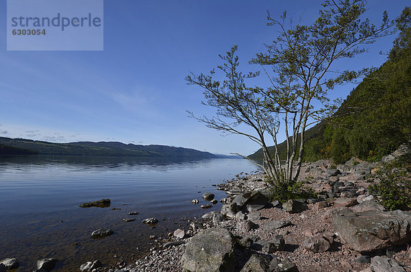 Loch Ness  bei Inverness  Schottland  Großbritannien  Europa