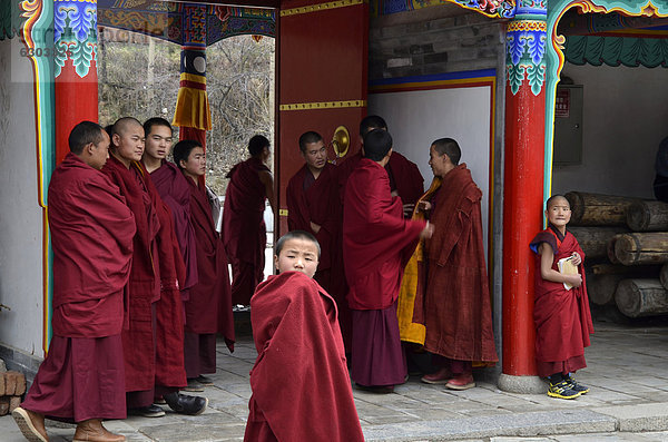Tibetischer Buddhismus  Mönche im bedeutenden Gelugpa-Kloster Kumbum  Ta'er Kloster  Huangzhong  Xinning  Qinghai  ehemals Amdo  Tibet  China  Asien