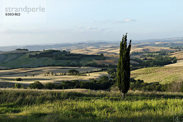 Toskanische Landschaft in der Nähe von Orciatico  Provinz Pisa  Toskana  Italien  Europa