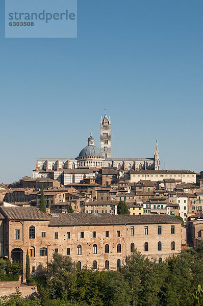 Geschichte Kathedrale Europa Italien Siena Toskana