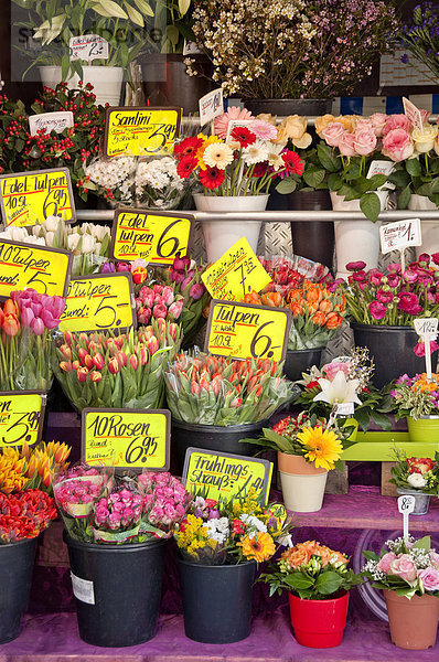 Blumen mit Preistafeln  Blumenstand  München  Oberbayern  Bayern  Deutschland  Europa  ÖffentlicherGrund