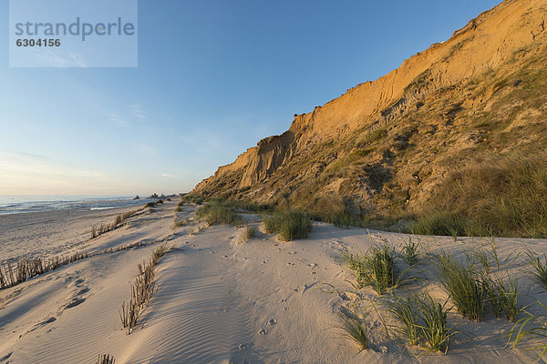 Abendstimmung am Roten Kliff von Kampen  Sylt  Schleswig-Holstein  Deutschland  Europa