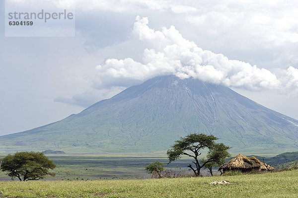 Ol Doinyo Lengai  aktiver Vulkan  und Maasai-Hütte im Norden von Tansania  Afrika