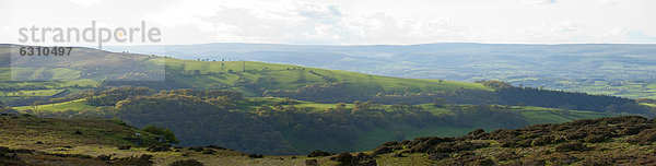 Landschaft in den Cambrian Mountains  Powys  Wales  Großbritannien