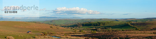 Landschaft in den Cambrian Mountains  Powys  Wales  Großbritannien
