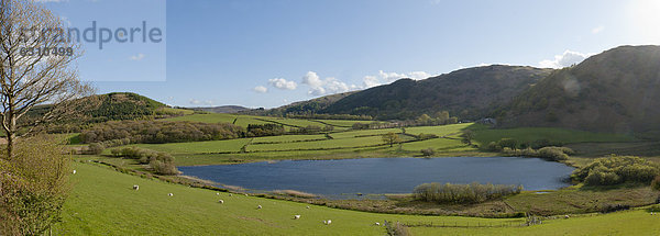 Landschaft in den Cambrian Mountains  Powys  Wales  Großbritannien