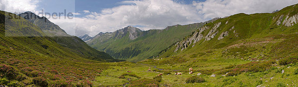 Pustertal  Südtirol  Italien