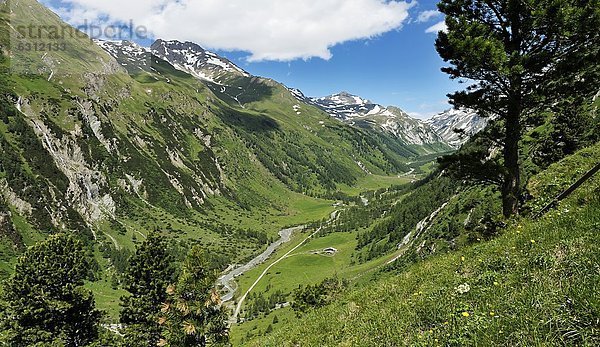 Tal in den Hohen Tauern  Tirol  Österreich