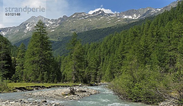 Schwarzach und Alpenlandschaft  Tirol  Österreich