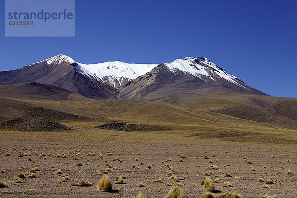 Eduardo Avaroa Nationalpark  Bolivien  Südamerika  Amerika