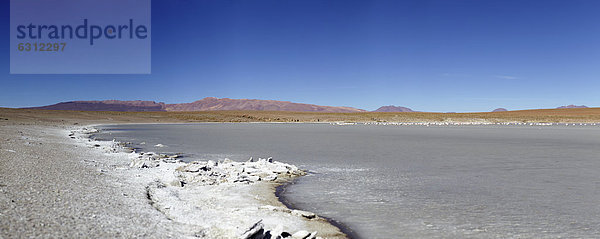 Laguna Kollpa  Eduardo Avaroa Nationalpark  Bolivien  Südamerika  Amerika