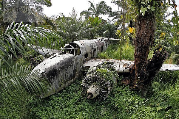 Neuseeländisches Flugzeugwrack aus dem Zweiten Weltkrieg am Walindi Resort  Papua-Neuguinea