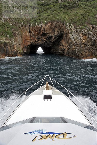 Boot an einem Tunnel auf Poor Knight Islands  Neuseeland