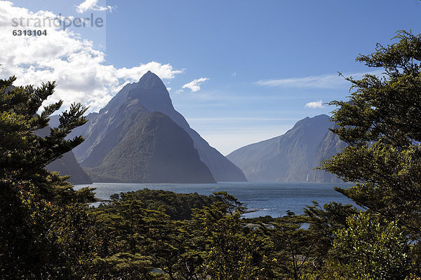 Milford Sound zwischen Bäumen  Queenstown  Neuseeland