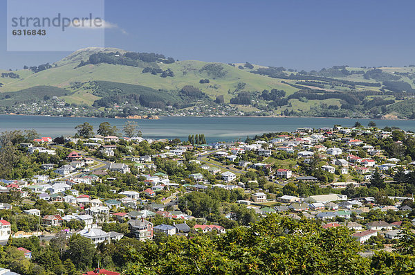 Blick auf Siedlung Port Chalmers Dunedin  Südinsel  Neuseeland  Ozeanien