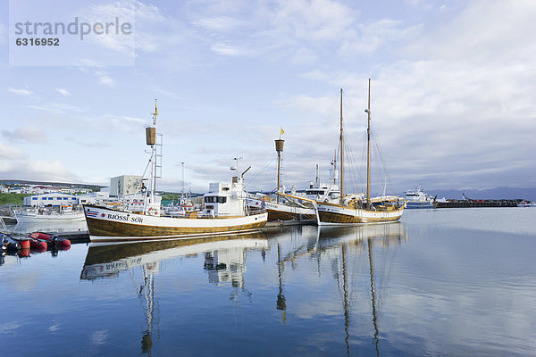 Hafen von H_savik  Island  Europa