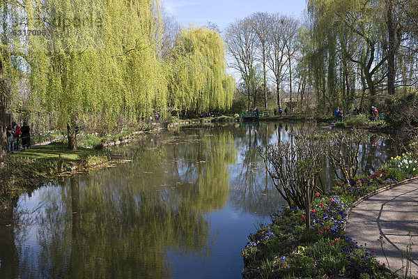Seerosenteich im Frühling  Grundstück von Claude Monet  Giverny  Haute-Normandie  Frankreich  Europa