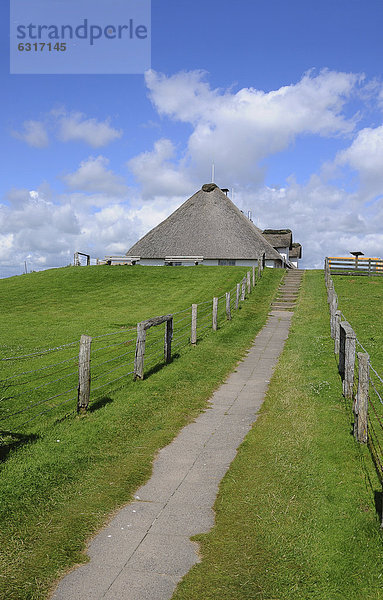 Europa Deutschland Hamburger Hallig Schleswig-Holstein