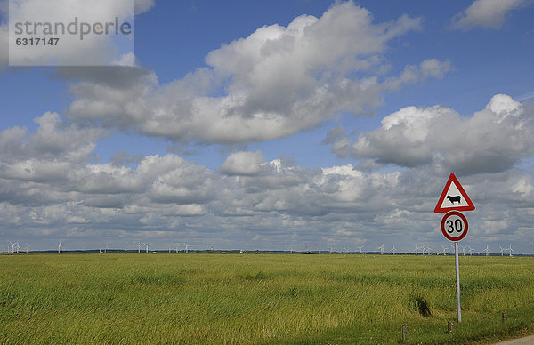 Verkehrsschild  Damm zur Hamburger Hallig  Nordfriesland  Schleswig-Holstein  Deutschland  Europa