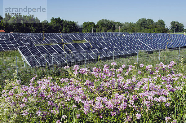 Solarzellen in einem Solarpark  Landshut  Bayern  Deutschland  Europa