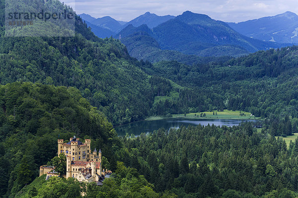 Schloss Hohenschwangau  Schwangau  bayrische Alpen  Oberbayern  Bayern  Deutschland  Europa