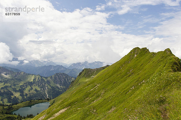 Berggrat oberhalb des Seealpsees  Allgäu  Bayern  Deutschland  Europa