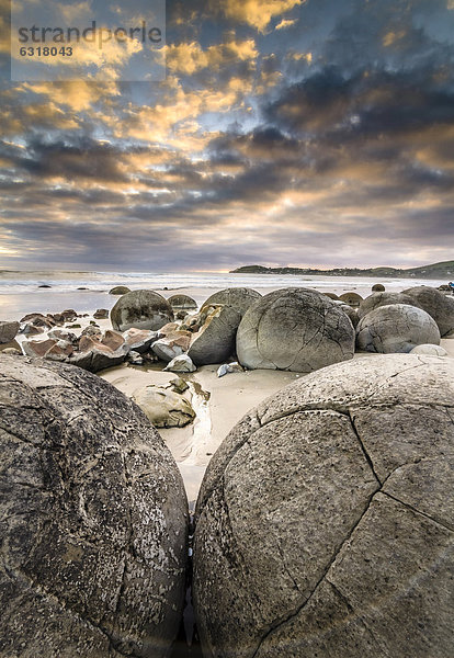 Moeraki Boulders  geologische Besonderheit  runde Felskugeln  liegen teilweise zerbrochen in Trümmern am Strand  Otago Küste  Moeraki  Südinsel  Neuseeland  Ozeanien