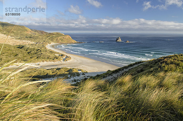 Strand der Sandfly Bay  Halbinsel Otago Peninsula  Südinsel  Neuseeland  Ozeanien