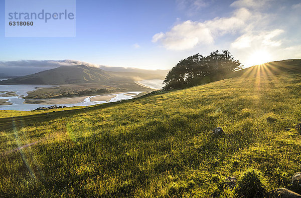 Weideland vor Hoopers Inlet  Bucht auf der Halbinsel Otago Peninsula  Südinsel  Neuseeland  Ozeanien