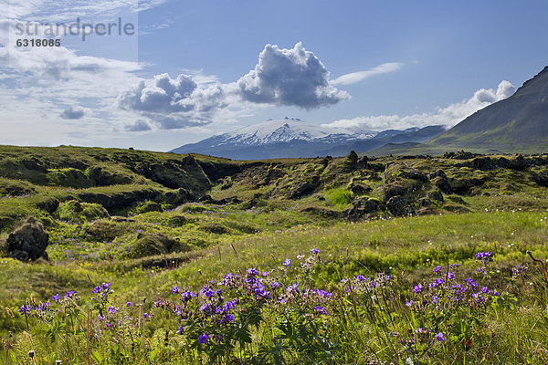 SnÊfellsjökull  Bu_ir  SnÊfellsnes  SnÊfellsness  Island  Europa