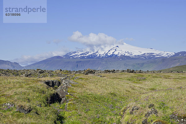 Spalte in einem überwachsenen Lavafeld  dahinter der SnÊfelljökull  Bu_ir  SnÊfellsness  Island  Europa