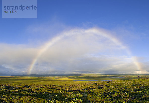 Regenbogen über der Ebene der Hera_sflÛi Bucht  Island  Europa